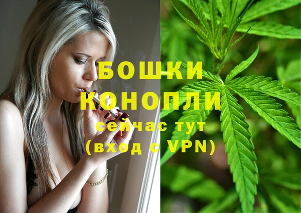 каннабис Беломорск