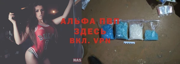 ешки Белокуриха