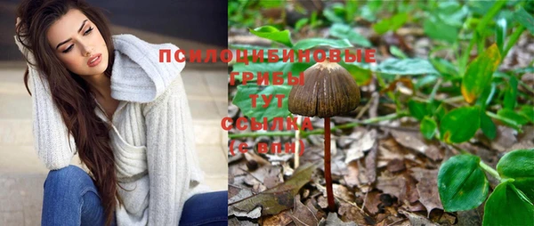 ешки Белокуриха